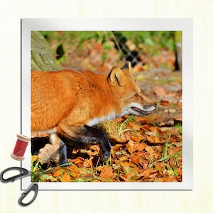 Fox - Cushion Panel Upholstery Cotton Fabric Craft Panel, Sewing Quilting