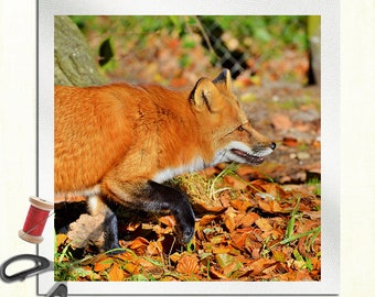 Fox - Cushion Panel Upholstery Cotton Fabric Craft Panel, Sewing Quilting