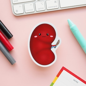 Angry But Cute Kidney Sticker | Anatomically Correct Grumpy Kawaii Kidney | Oh No It Has a Knife | Kidney Problems But Make It Cute Sticker
