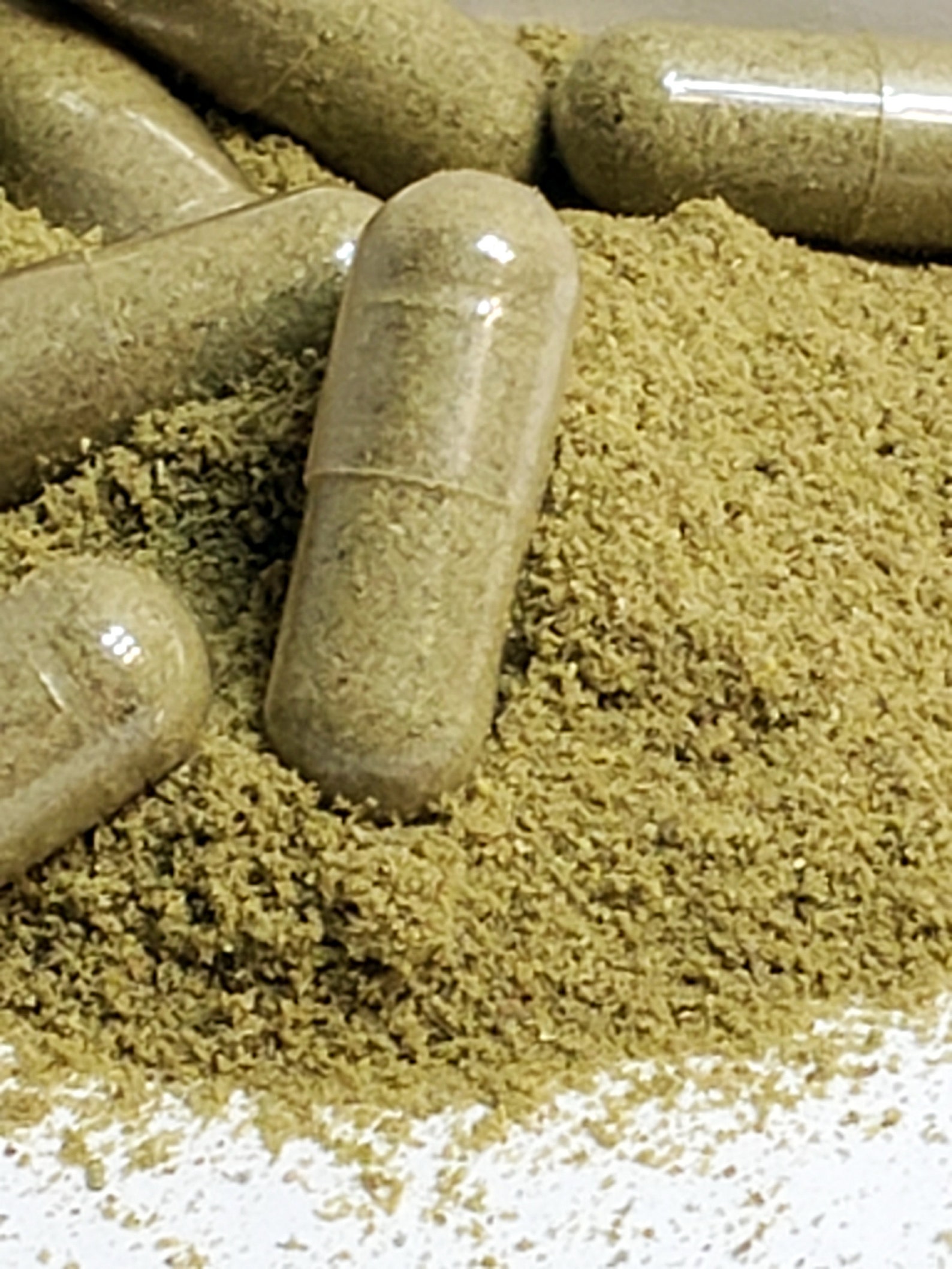 Rosemary Capsules 300 Pk Made Fresh on Demand Etsy