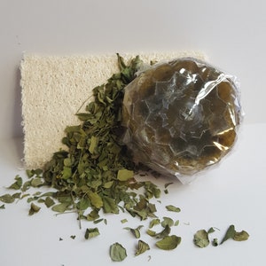 Moringa Leaf Loofah Soap 3 Pc Set All Natural Made Fresh on Demand image 1