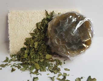 Moringa Leaf Loofah Soap 3 Pc Set - All Natural - Made Fresh on Demand!