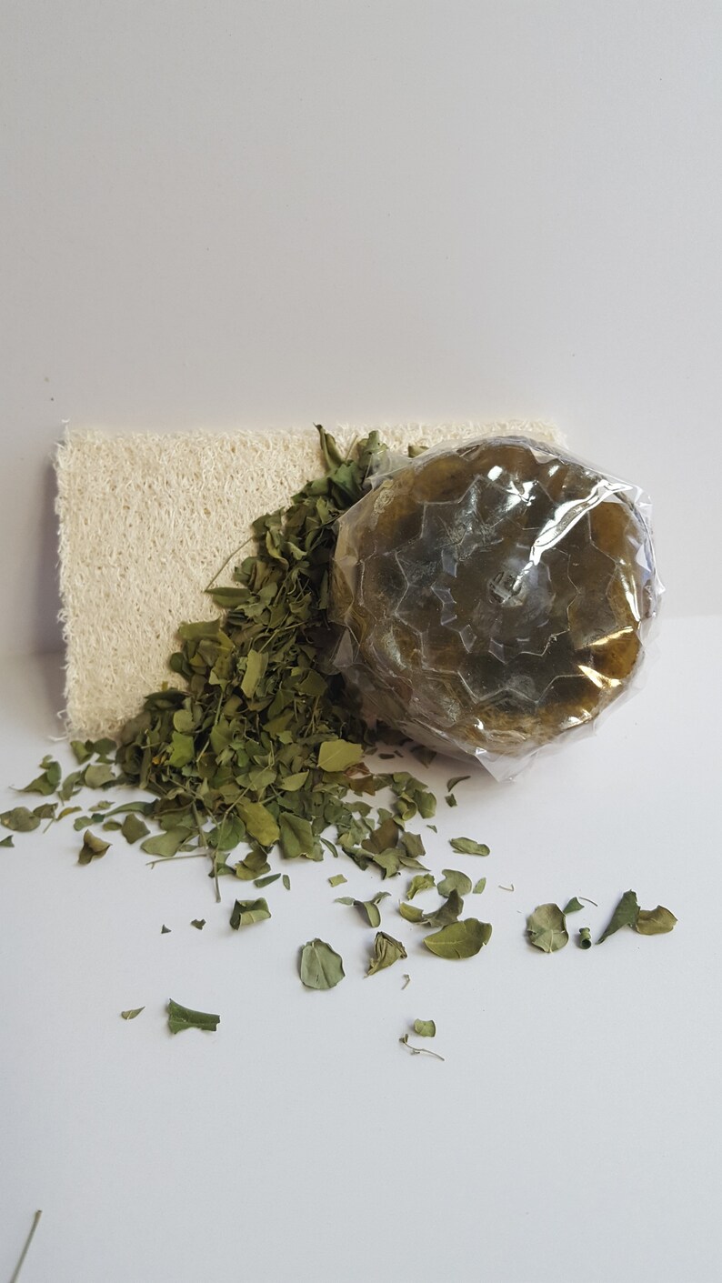 Moringa Leaf Loofah Soap 3 Pc Set All Natural Made Fresh on Demand image 1