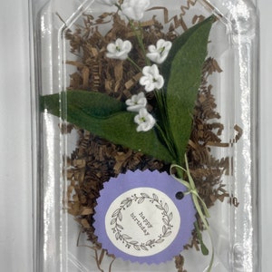 Peut inclure: Un petit bouquet de fleurs en feutre blanc avec des feuilles vertes dans un r&eacute;cipient en plastique transparent avec du papier d&eacute;chiquet&eacute; brun. Une &eacute;tiquette violette avec le texte "joyeux anniversaire" est attach&eacute;e au bouquet.