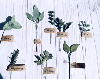 Felt Herbs, Herb Sprigs, Bud Vase, Mini Greens