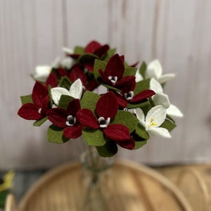 May include: A bouquet of felt flowers in a clear glass vase. The flowers are a mix of deep red and white, with green leaves. The flowers have a handmade appearance and are arranged in a full, natural style.