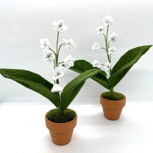 Peut inclure: Deux plantes de muguet en feutre en pot avec des fleurs blanches et des feuilles vertes. Les plantes sont dans des pots en terre cuite avec de la mousse verte.