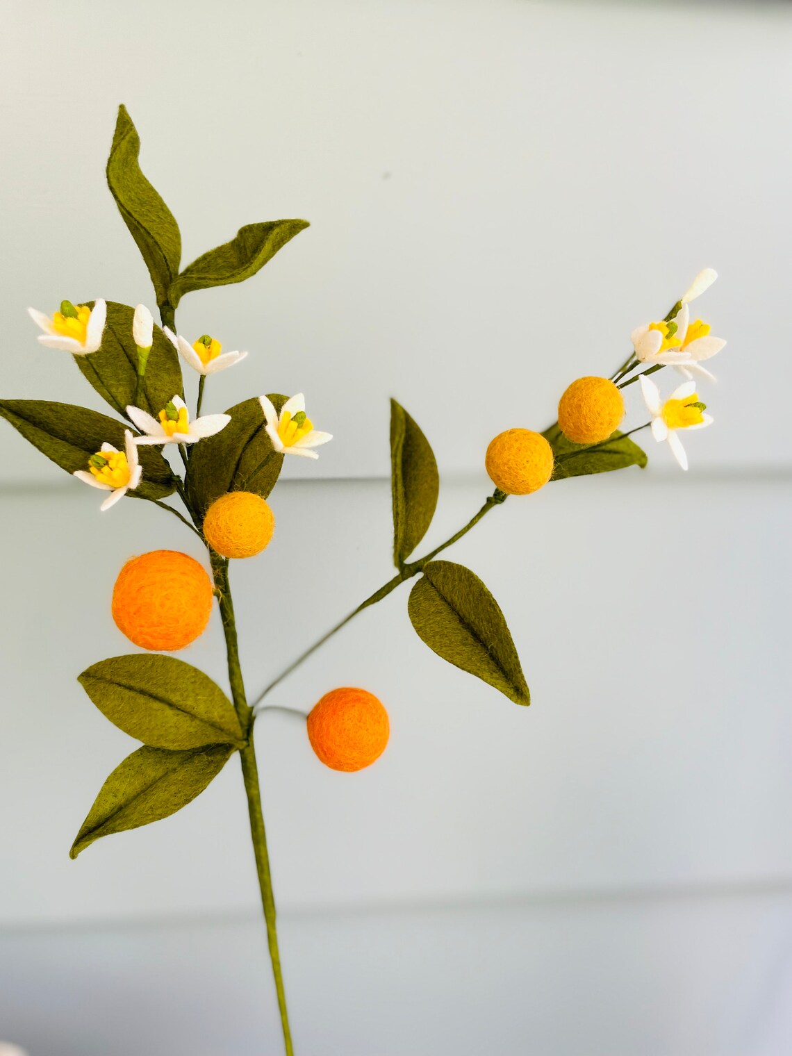 Felt Orange Stem, Orange Fruit Stem, Calamundin Stem, Orange Sprig ...