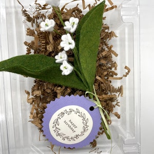 Peut inclure: Un petit bouquet de fleurs de muguet en feutre blanc avec des feuilles en feutre vert dans un r&eacute;cipient en plastique transparent avec du papier d&eacute;chiquet&eacute; brun. Une &eacute;tiquette violette avec le texte "joyeux anniversaire" est attach&eacute;e au bouquet.