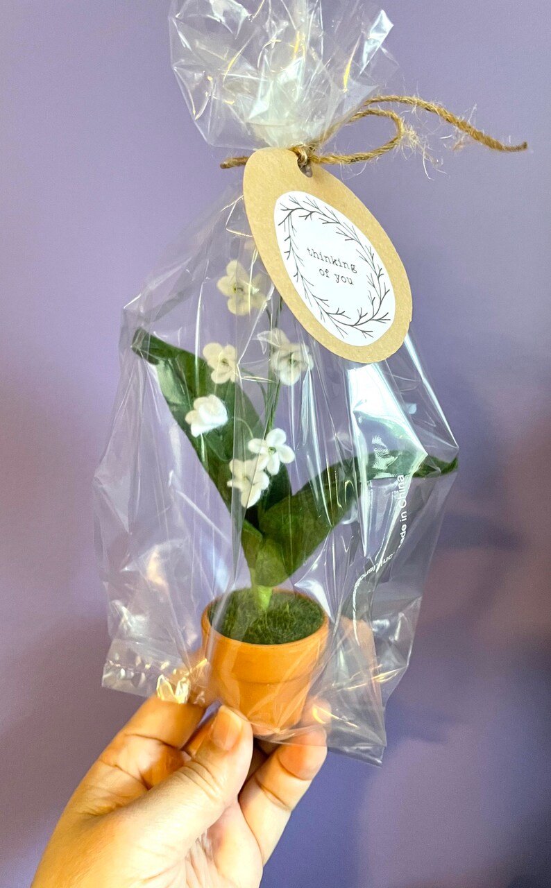 Peut inclure: Une petite plante en pot avec des fleurs blanches et des feuilles vertes envelopp&eacute;es dans du plastique transparent avec une &eacute;tiquette brune qui dit "Thinking of you".