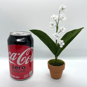 Peut inclure: Une petite plante en pot avec des fleurs blanches en feutre et des feuilles vertes en feutre. La plante est dans un pot en terre cuite brun et est pos&eacute;e sur une surface blanche &agrave; c&ocirc;t&eacute; d'une canette de Coca-Cola Zero Sugar.