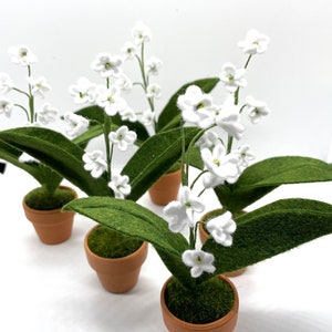 Peut inclure: Quatre petites plantes en pot avec des fleurs blanches en feutre et des feuilles vertes en feutre. Les pots sont en terre cuite.
