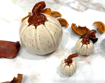 Handmade Speckled Vanilla Glazed Ceramic Pumpkin Set, Fall Halloween Decorations (3 Piece) # 12