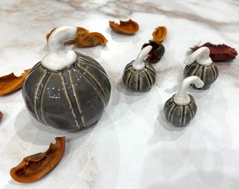 Handmade Gray Ceramic Pumpkin Set, Fall Halloween Decorations (4 Piece) # 20