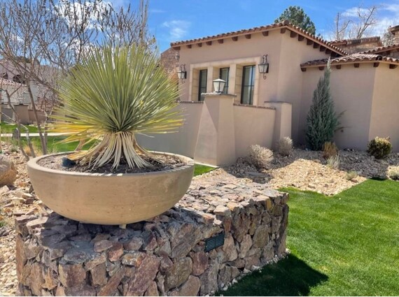 Modern Bowl Garden Planter