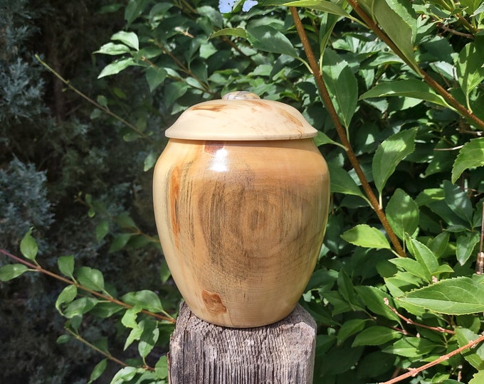 Aspen Urn With Threaded Aspen Lid / Crazy Lace Agate Cabochon / Adult Ashes / Large / Cremation