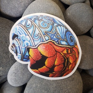 STICKER PRINT 3 » Hermit Crabe Peint Coquillage Coquillage Intérieur ou Extérieur Vinyle Décalcomanie Maison Décoration Méditation Cadeau