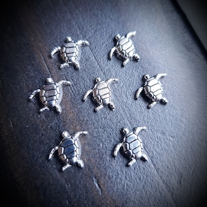 May include: Seven silver turtle charms on a dark wood background. The turtles are all facing the same direction and have a detailed design.