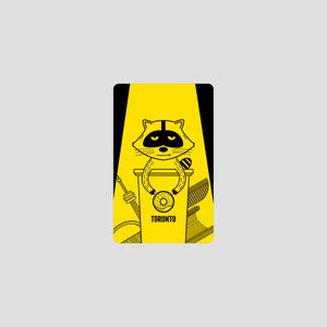 Votre sympathique raton laveur de quartier