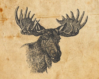 Vintage Moose. Vector, JPEG, PNG. Digital download. Art, print, t-shirts, card, merchandise. Woodcut, illustration, etching, linocut, old.