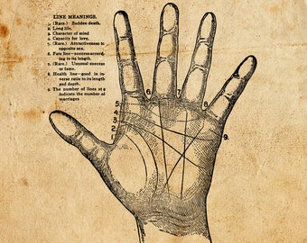 Vintage Palmistry. Vector, JPEG, PNG. Digital download. Art, print, t-shirts, merchandise. Hand, illustration, old, diagram