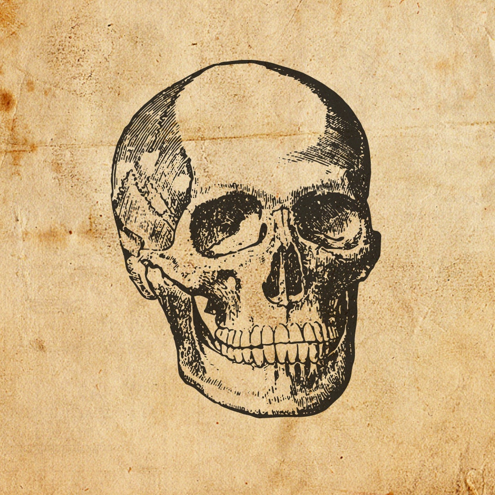 Vintage Skull. Vector, PNG, JPEG. Digital Download. Art, Print, T 
