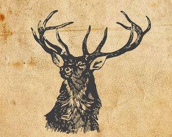Vintage Stag. Vector, JPEG, PNG. Digital download. Art, print, t-shirts, card, merchandise. Woodcut, illustration, etching, linocut, antlers