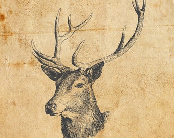 Vintage Deer. Vector, JPEG, PNG. Digital download. Art, print, t-shirts, card, merchandise. Woodcut, illustration, etching, linocut, antlers