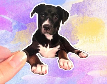 Custom Pet Sticker, Dog Photo Sticker, Personalized Dog Sticker, Custom Dog Decal, Pet Portrait Sticker, Cute Dog Sticker Gift