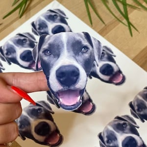 May include: A sheet of stickers featuring a gray and white dog with a happy expression. The stickers are printed on white paper and are ready to be cut out and used.