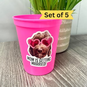 Set of 5 Plastic cups personalized, custom plastic cups, stadium cups, bachelorette party decor, bachelorette party favor, plastic party cup