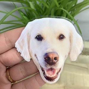May include: A sticker featuring a smiling golden retriever dog's face. The dog has a light-colored coat, brown nose, and dark eyes. The sticker is held in a person's hand, with a gold ring visible.