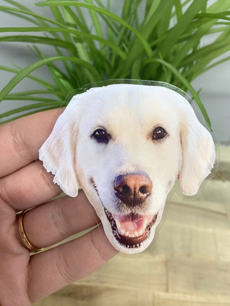May include: A sticker featuring a smiling golden retriever dog's face. The dog has a light-colored coat, brown nose, and dark eyes. The sticker is held in a person's hand, with a gold ring visible.