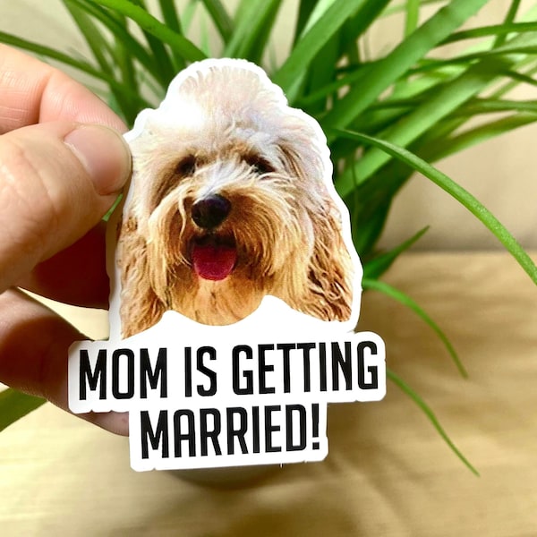 Custom Photo Stickers, Personalized Stickers, Custom Party Favors, Bachelorette Party Favors, Custom Waterproof Stickers, Dog Wedding