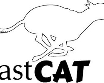 FastCAT Vinyl Window Decal - The Black in the sample is the "color" of the vinyl, white is clear