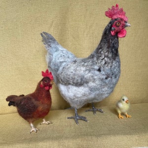 Hen - needle felted, various breeds, finished wool sculpture