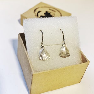 Seashell Earrings / Silver Seashell Earrings / Small Seashell Earrings
