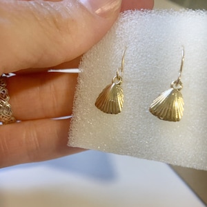 Seashell Earrings / Gold Seashell Earrings / Small Seashell Earrings