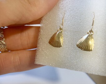 Seashell Earrings / Gold Seashell Earrings / Small Seashell Earrings