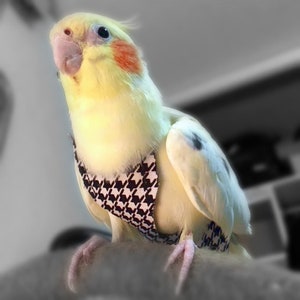 A Nappy/Diaper/Flight Suite for your Cockatiel - Houndstooth Black. #HB001