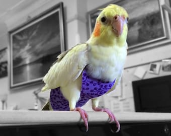 A Nappy/Diaper/Flight Suite for your Cockatiel - Purple-GrapesPattern. #PU001