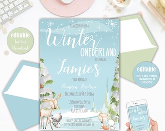 Wonderland Invitation, Winter Onederland Invitation, 1st Birthday Boy, Editable Instant Download