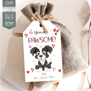 Pawsome Valentine's Day Tag for Kids, Valentine Treat Tag, You Are ...