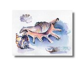 conchas acuarela, Dibujo cáscaras, imagen conchas