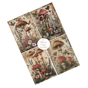 Papier artisanal A4 pour découpage fait main, quatre images, cottagecore, champignon vénéneux, champignon vénéneux : papier de soie véritable 19 g/m2