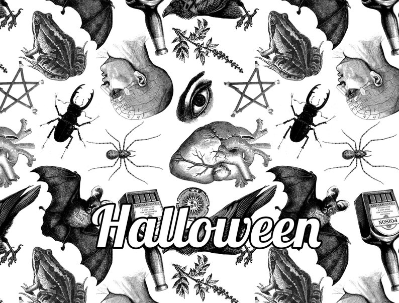 Monochrome witch craft artwork on wrapping paper with the word 'Halloween'