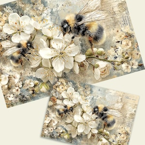 May include: Two art prints featuring detailed illustrations of bumblebees amidst white blossoms. The bees have black and yellow striped bodies and translucent wings. The background has a vintage, aged paper texture with faded floral and musical note elements.