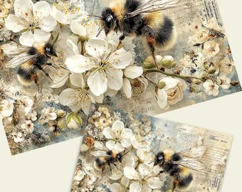 Bee and Cherry Blossom Decoupage Rice or Tissue Paper | A3 A4 A5