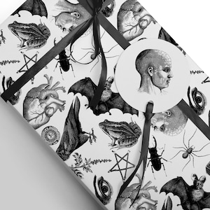 Monochrome witch craft artwork on wrapping paper, a box with a black ribbon