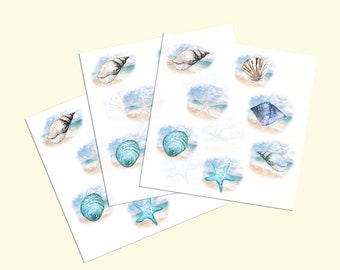 Sea Shell Tissue Paper - Etsy